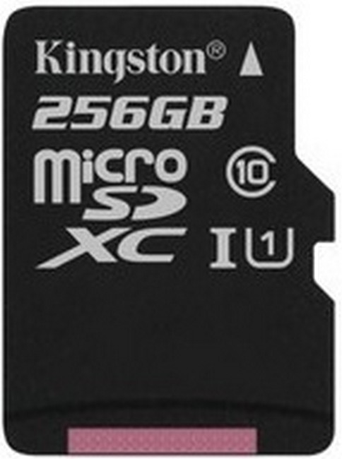 Карта памяти kingston canvas go plus 128 гб sdcg3 128gbsp